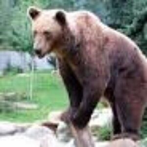 Meet your Posher, Pat